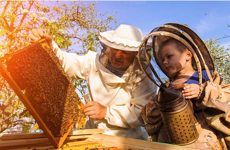 Residential Beekeeping Services