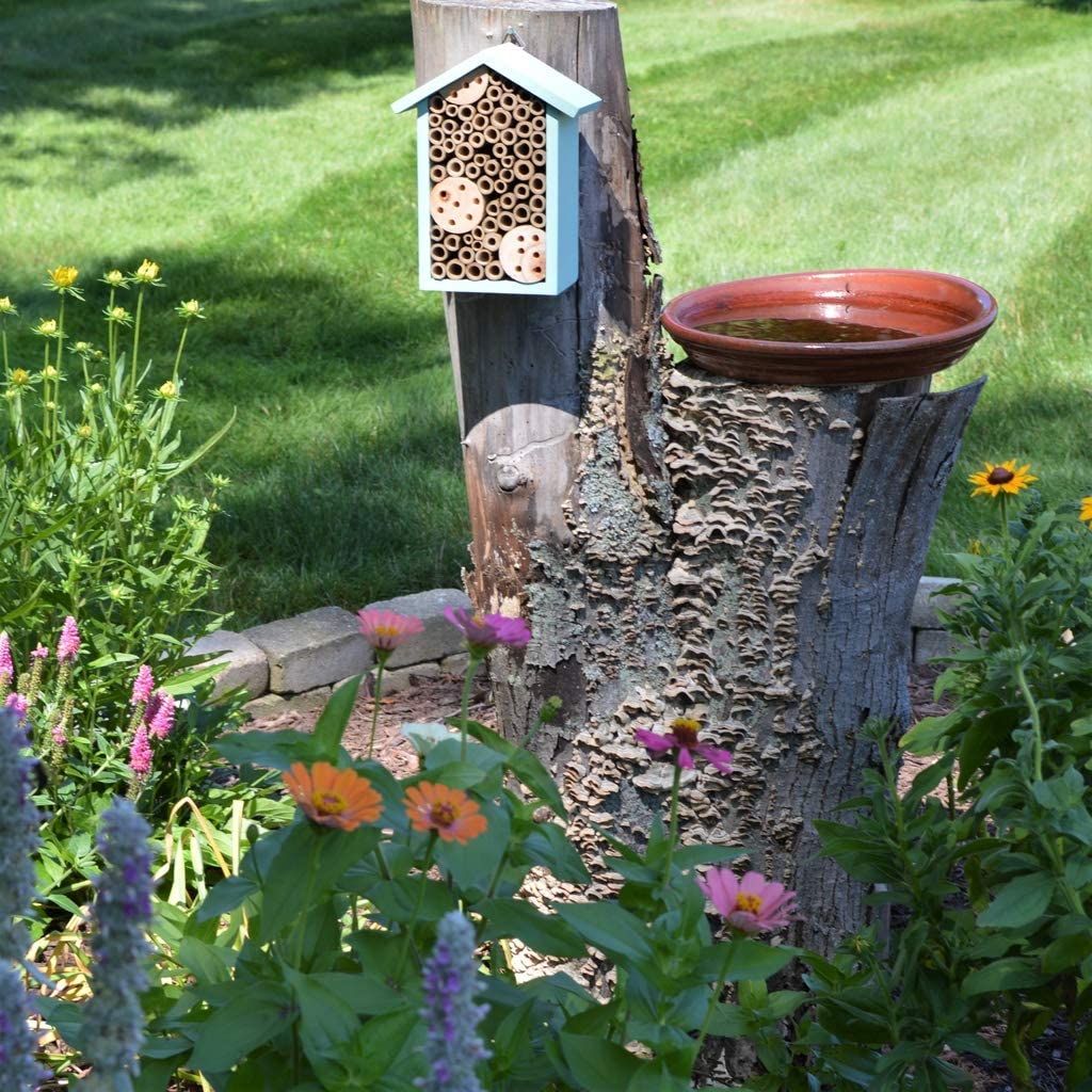 Sunny Pollinator Hotel Multi room House