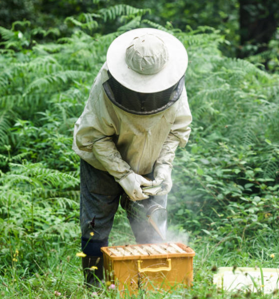 Be a Beekeeper for the day!