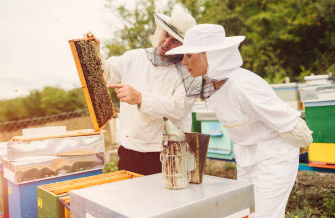 Beekeeping 101