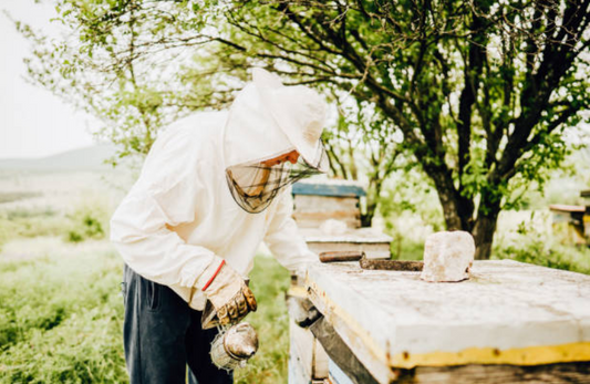 Beekeeping Services