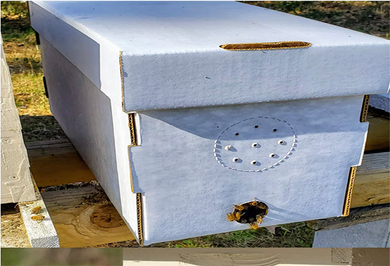 Nucleus Hive Services ( 5-frames nucleus hive )