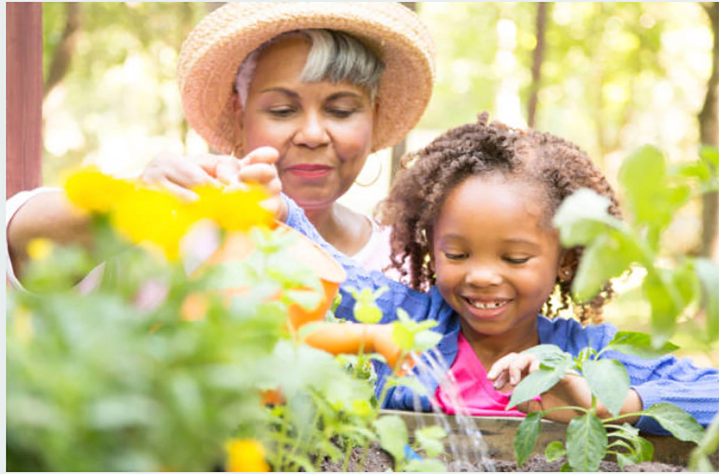 Traditional Plant Medicine Class