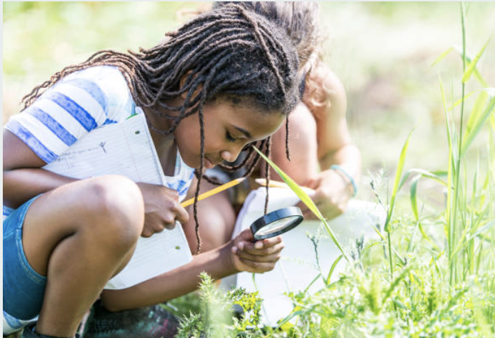 Traditional Plant Medicine Class