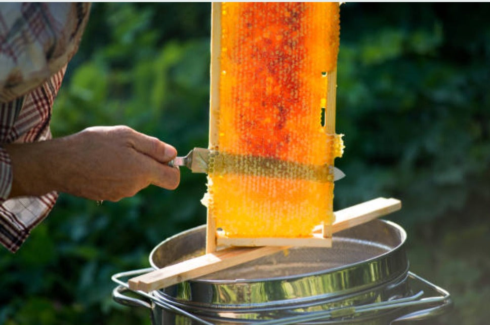 Extracting Honey Services