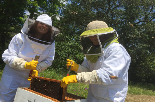 Bee Experience and Honey Tasting