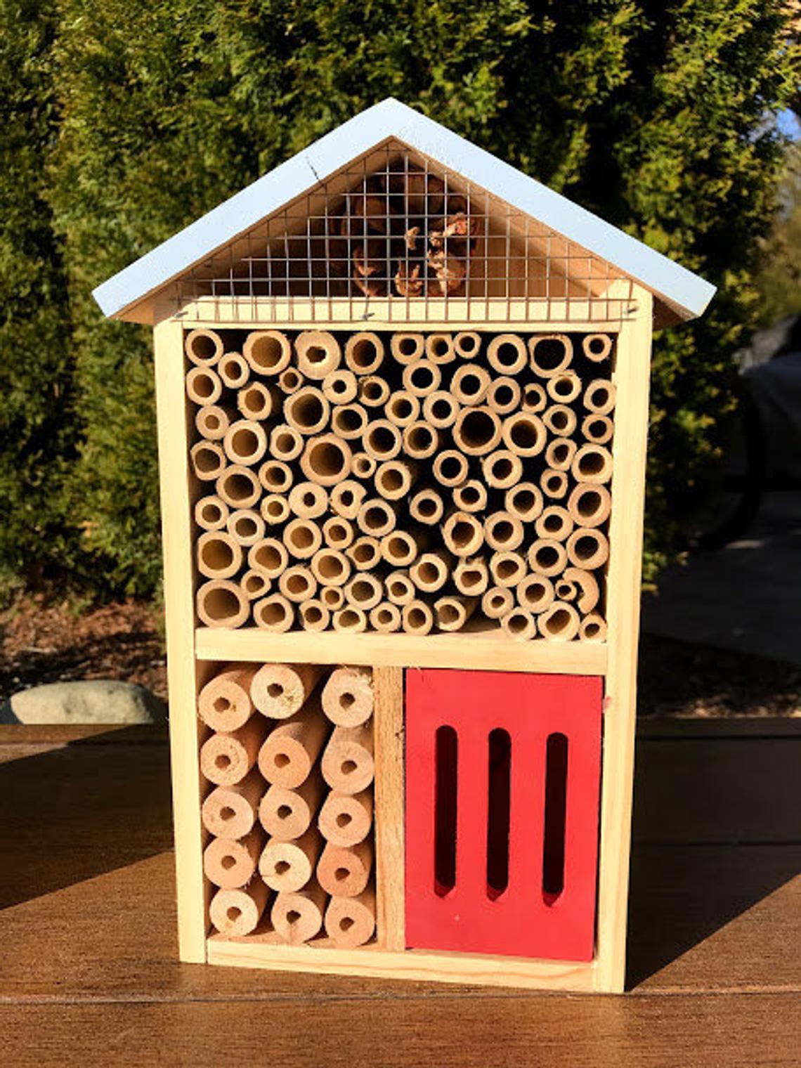 Sunny Pollinator Hotel Multi room House