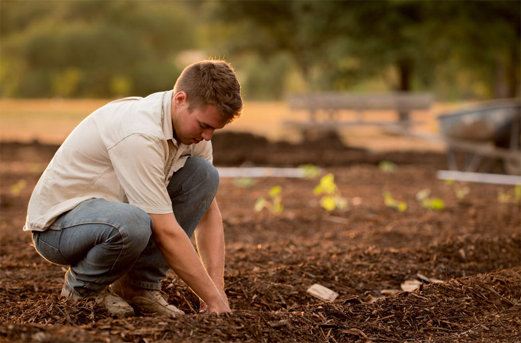 Be a Medicinal Plant Farmer for a day